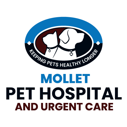 Mollet Pet Hospital and Urgent Care